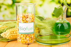 Kiskin biofuel availability